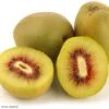 Kiwi - Actinidia Deliciosa Kiwi Wonder -Arbres Fruits Actinidia deliciosa Wonder 84702 1