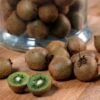 Kiwi Jenny (autofertile) - Actinidia Deliciosa -Arbres Fruits Kiwi Jenny autofertile 78130 1