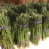 Asperge Verte Rambo - Asparagus Officinalis -Arbres Fruits asparagus officinalis rambo 16300 1