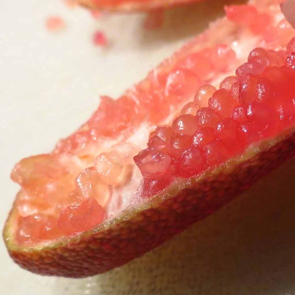 Citron Caviar Grains Rouges Red Crystal - Microcitrus Australasica 3 Citron Caviar Grains Rouges Red Crystal - Microcitrus Australasica